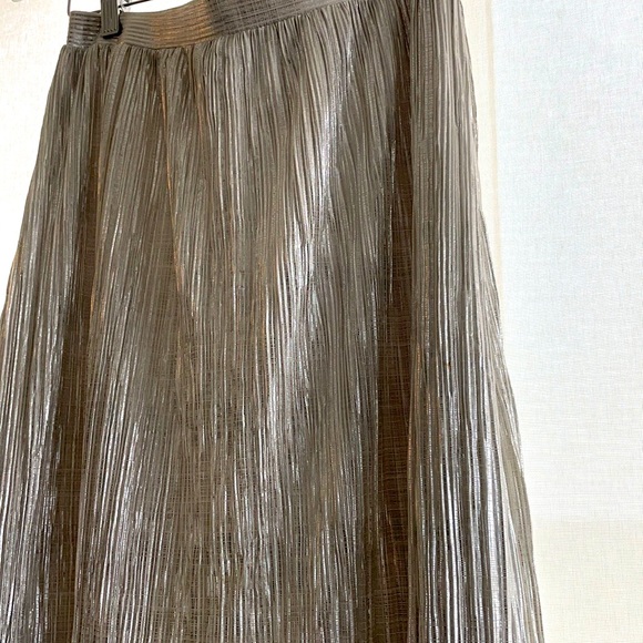 Banana Republic Silver pleated midi skirt - Picture 5 of 5